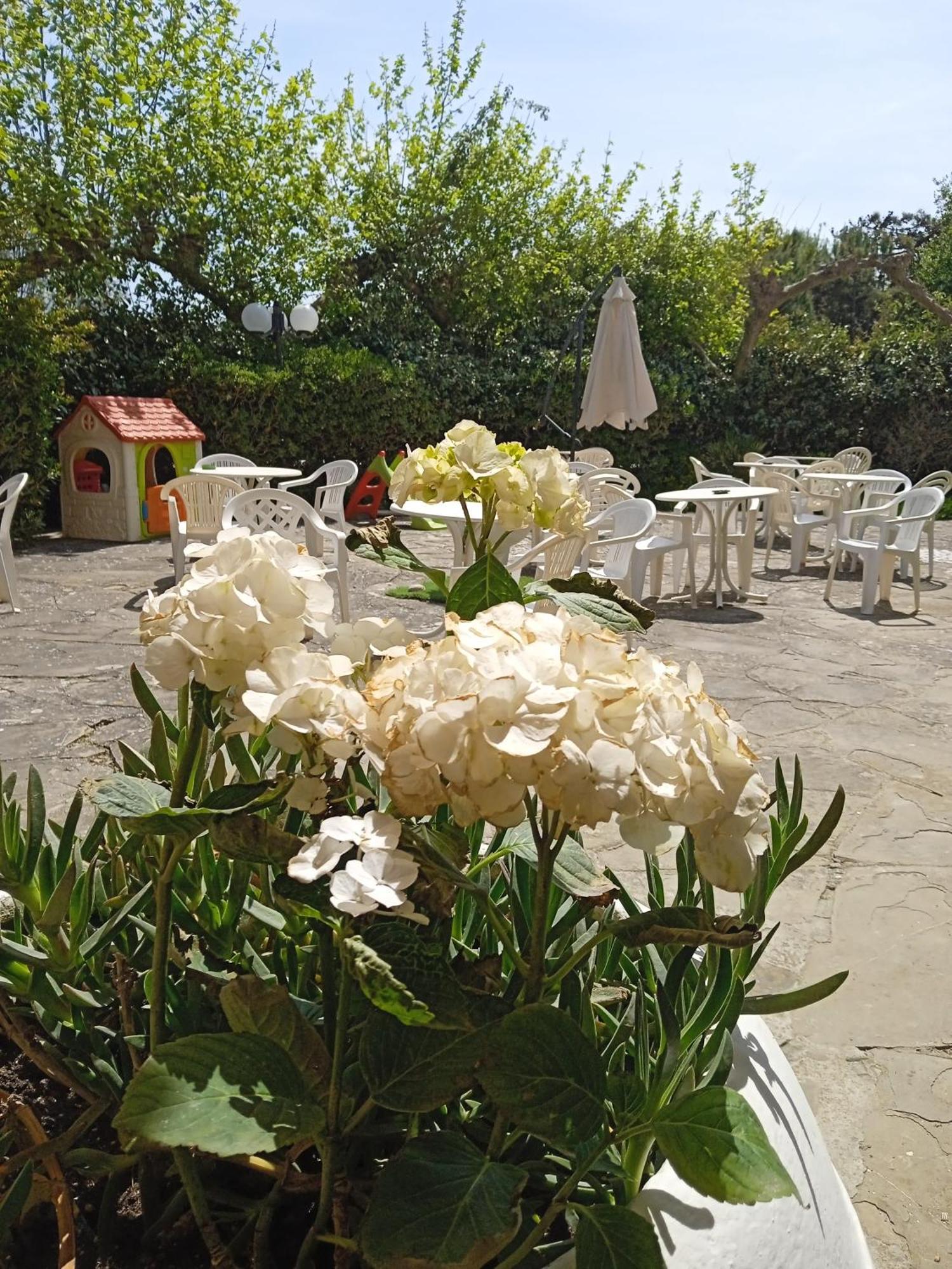 Hotel Buenos Aires Cervia Eksteriør billede
